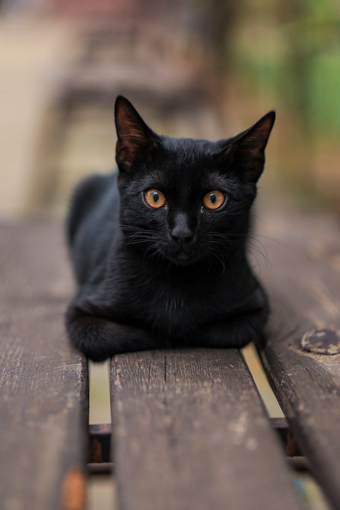 Photograph by Natalia Antipas