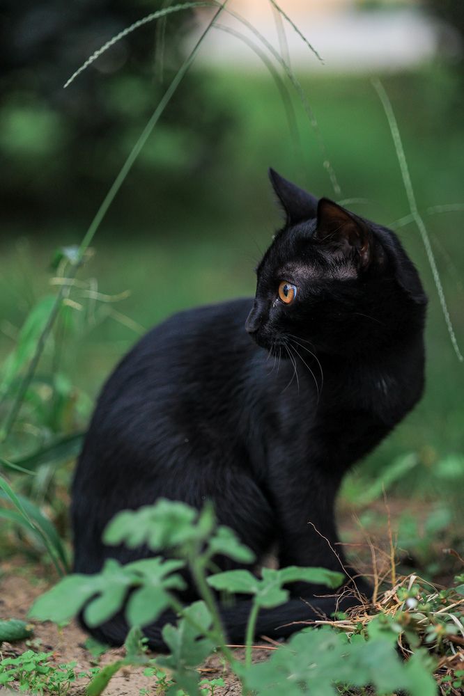 Photograph by Natalia Antipas