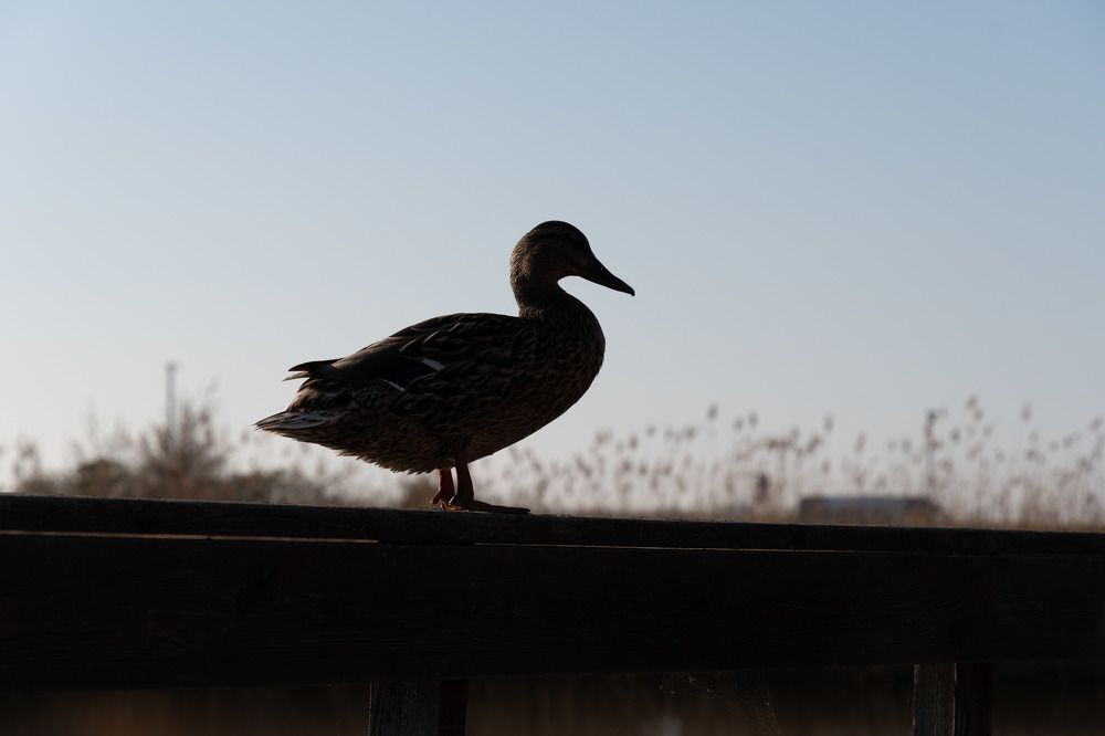 Photograph by Татьяна