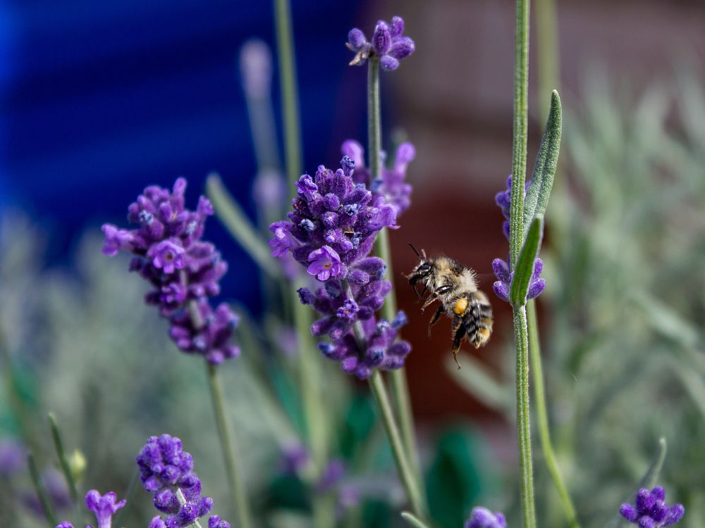 Фотография автора Дарья Рогозина