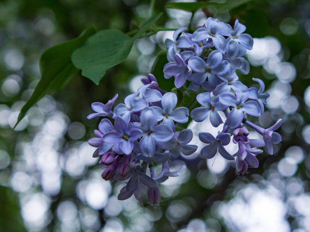 Фотография автора Дарья Рогозина