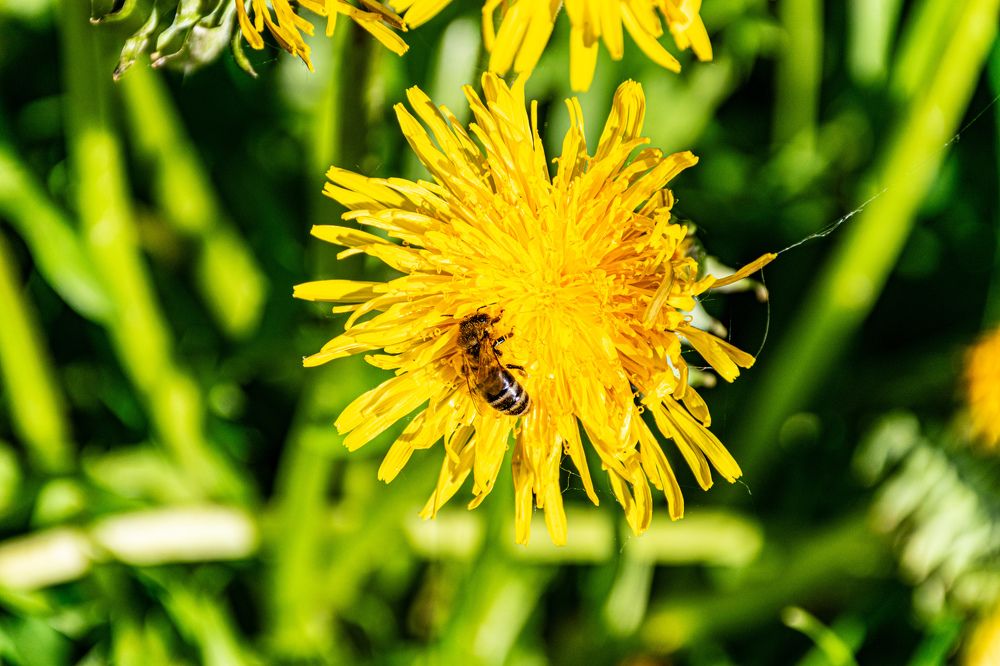 Photograph by Савелий Канцедал