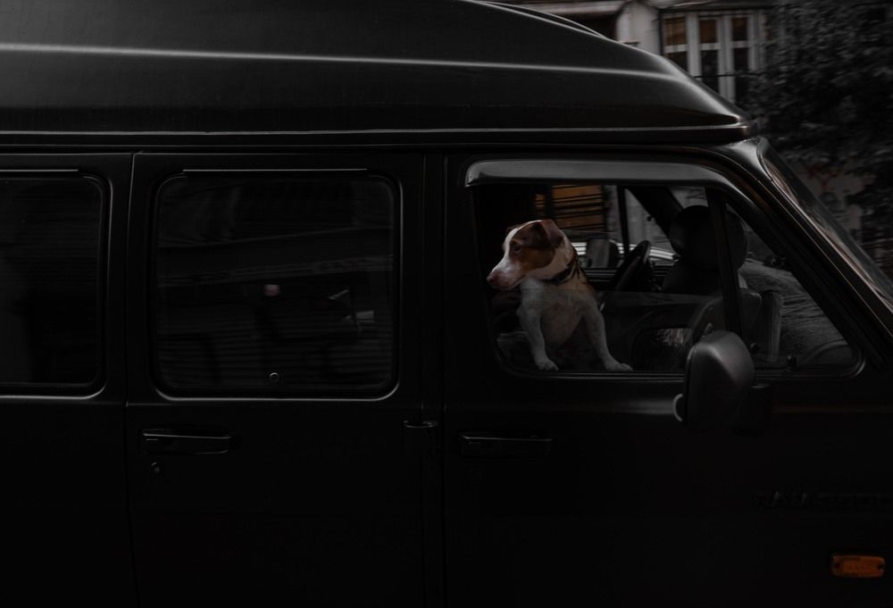 Photograph by Hakan Tunc