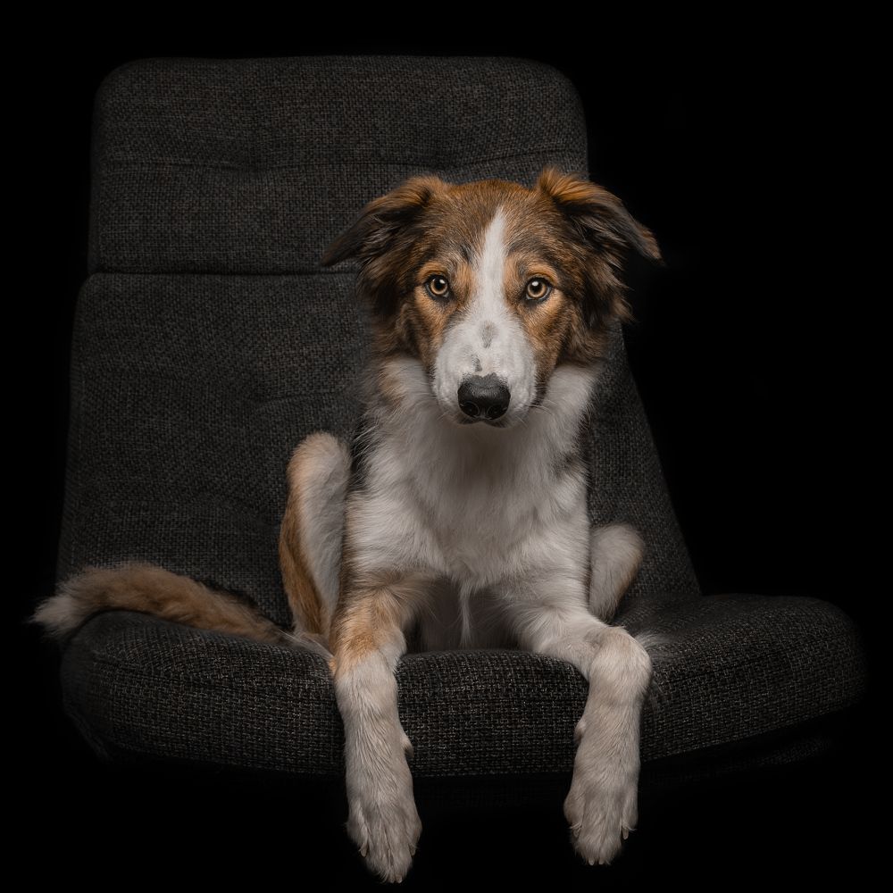 Фотография автора Annemarie Visser