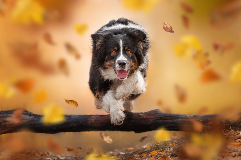 Photograph by Яна Нарбутович