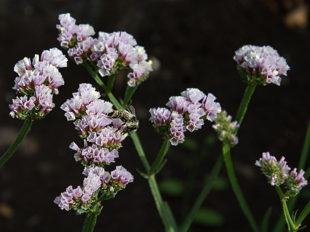 Фотография автора Дарья Рогозина