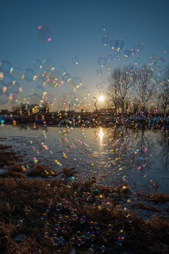 Photograph by Chen Chen