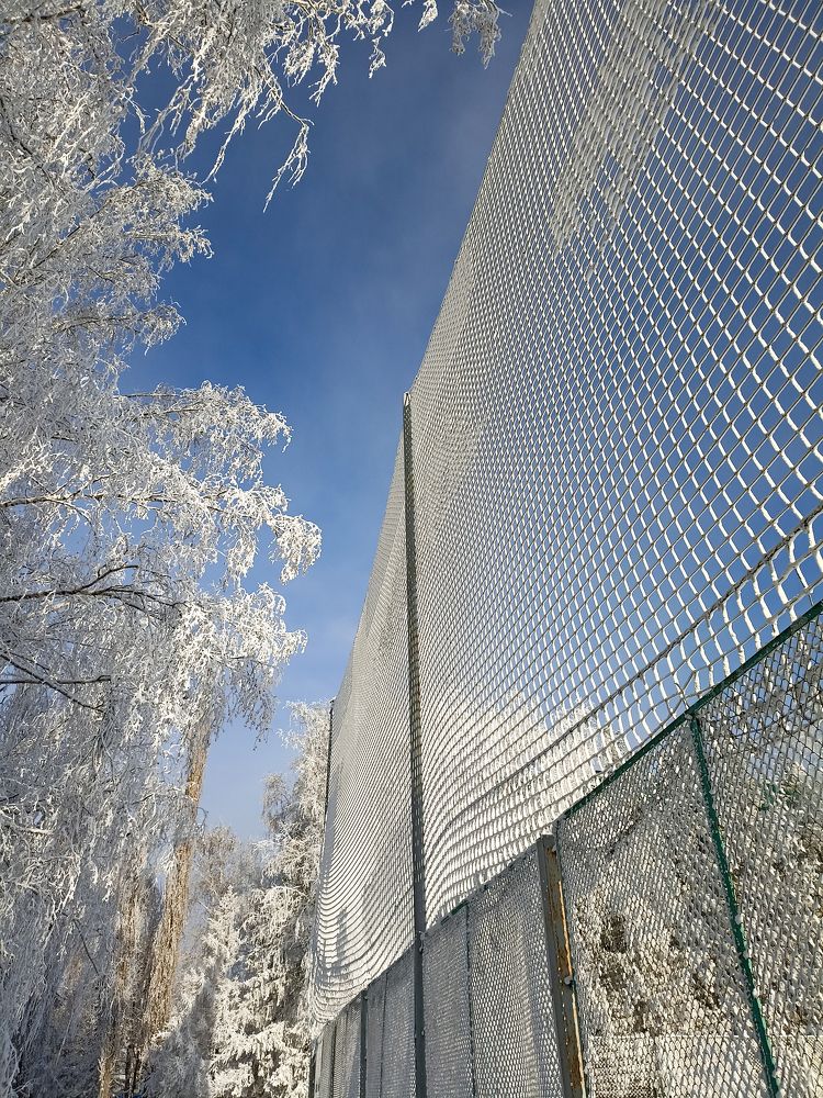 Фотография автора Дарья Рогозина