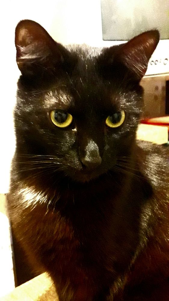 Photograph by Татьяна Солтан