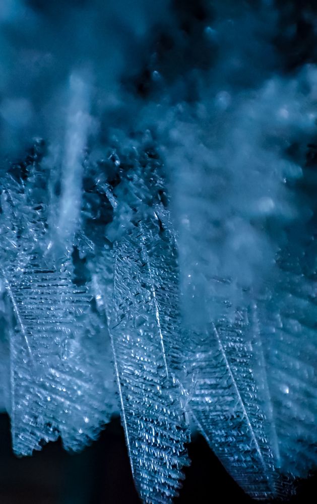 Photograph by Алёна Пшеленская