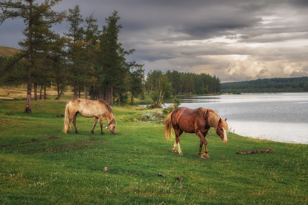 Photograph by Vyacheslav Bolyakin