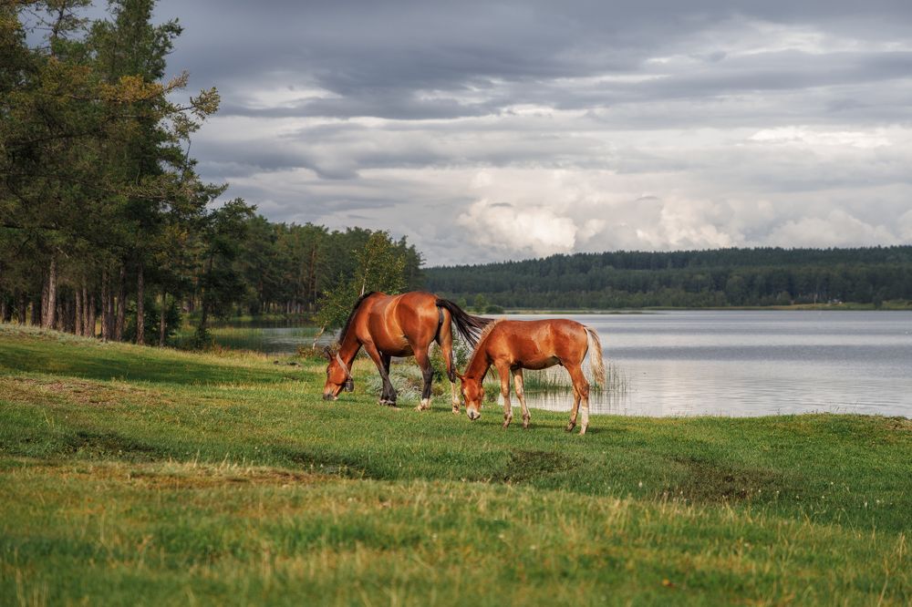 Photograph by Vyacheslav Bolyakin