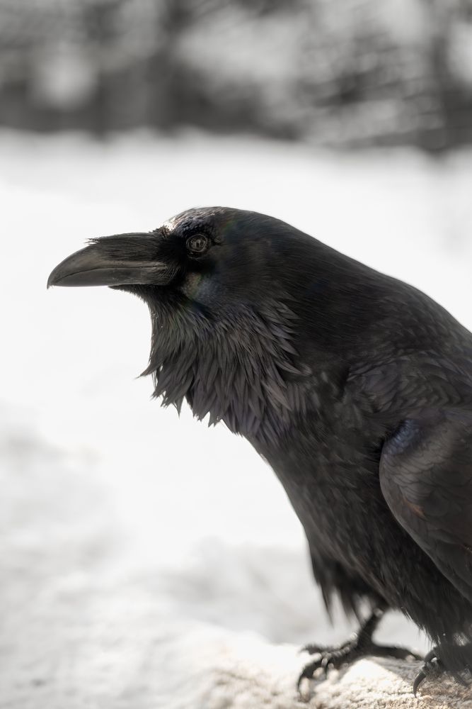 Photograph by Дудников Александр