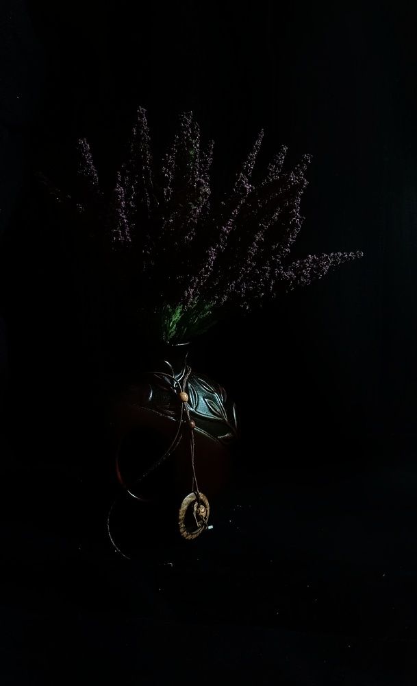 Фотография автора Светлана Анатольевна Чернышова