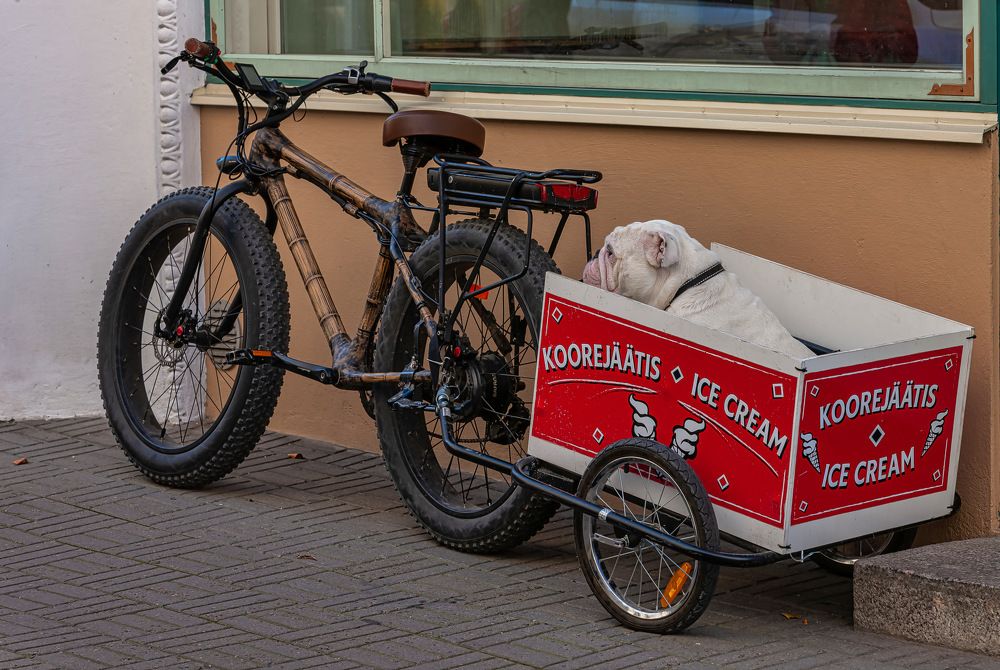 Photograph by yuri kutukov