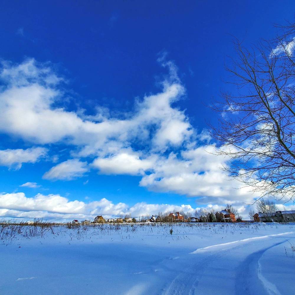 Photograph by Елена Беланенко