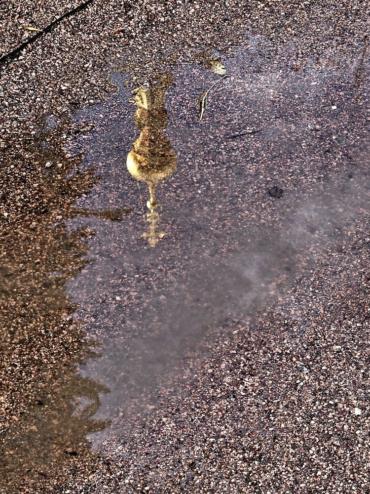 Photograph by Галина Левина