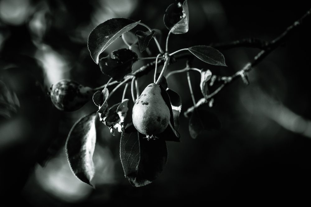 Photograph by Галина Аскольдовна Луковникова