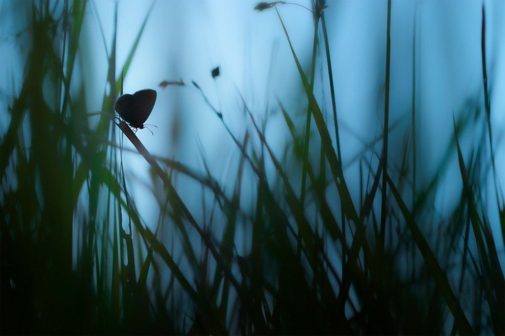 Photograph by Manaska Mukhopadhyay