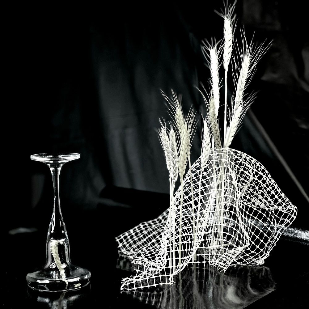 Photograph by Галина Левина