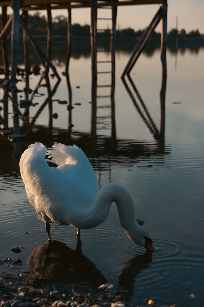 Photograph by Наталья Юденкова