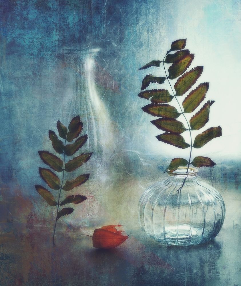 Photograph by Наталия К