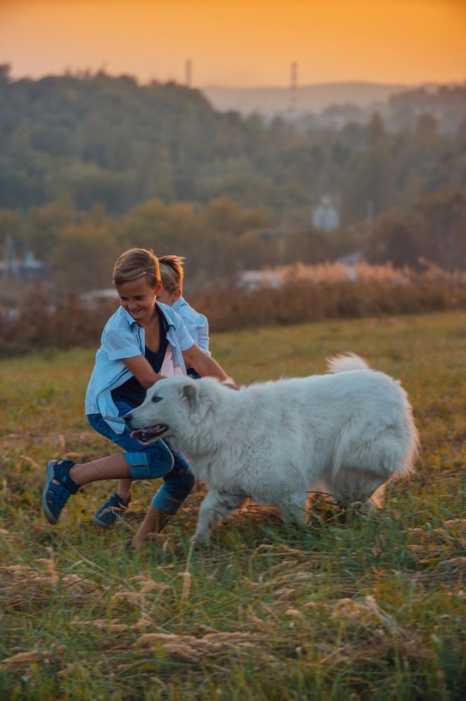 Photograph by Степоненкова Екатерина