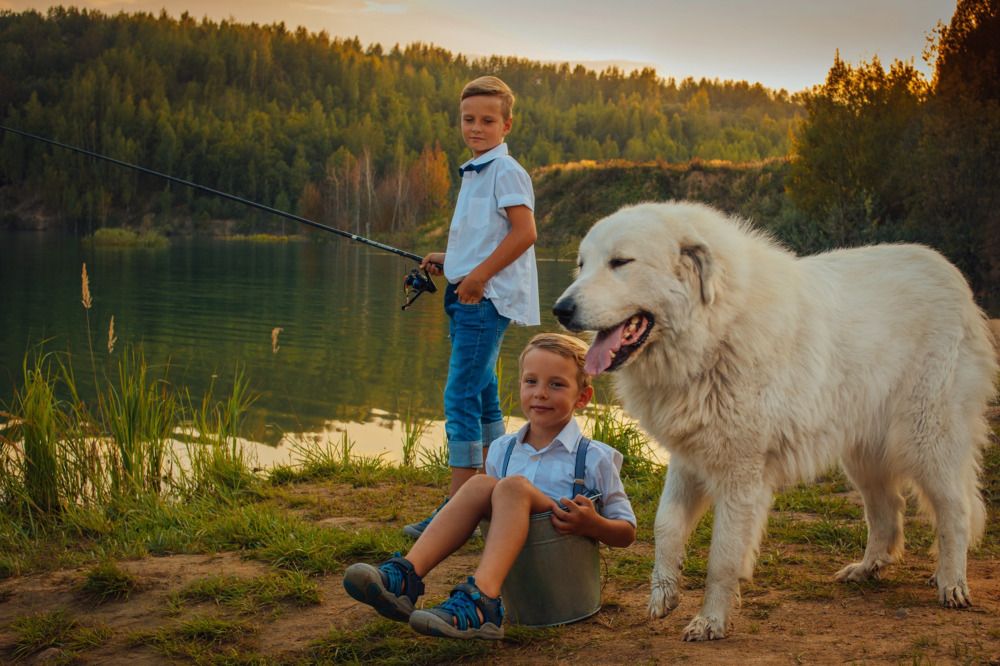 Photograph by Степоненкова Екатерина