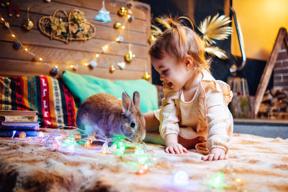 Photograph by Степоненкова Екатерина