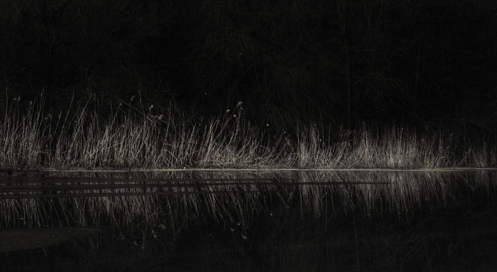 Photograph by Анна Берневик