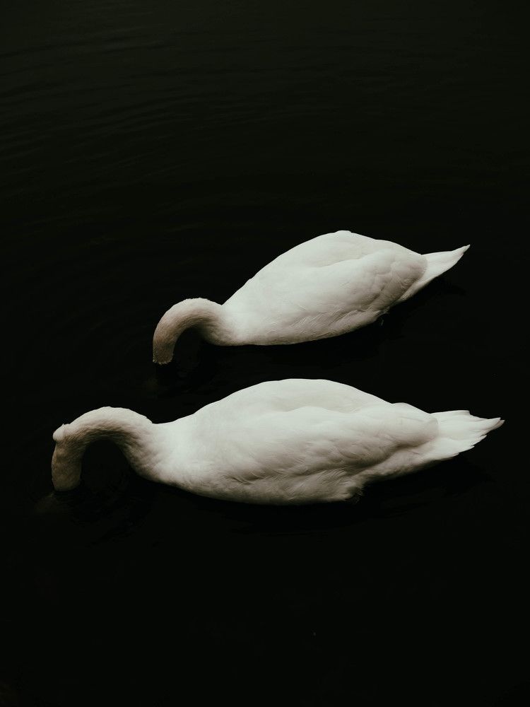 Photograph by Роман Суковач