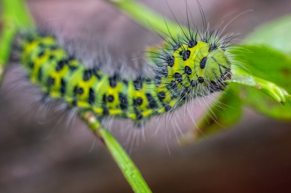 Photograph by Максимова Ольга