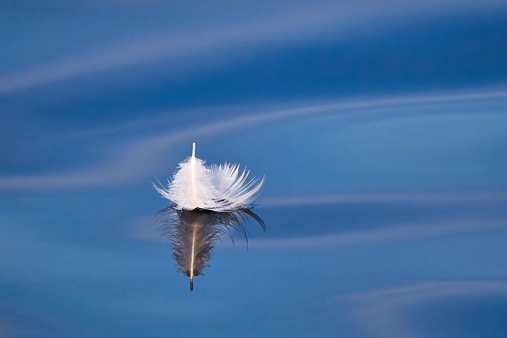 Photograph by Наумов Николай