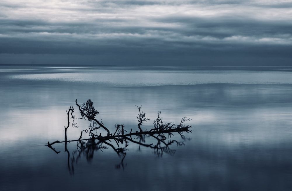 Photograph by Наумов Николай