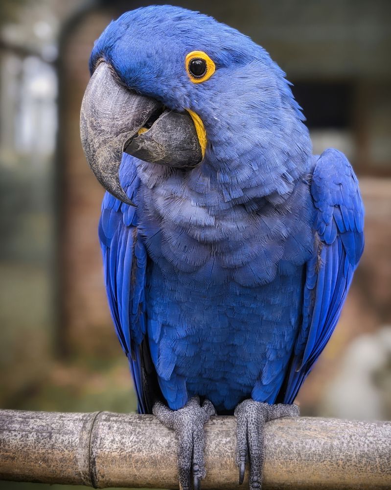 Photograph by Дудников Александр