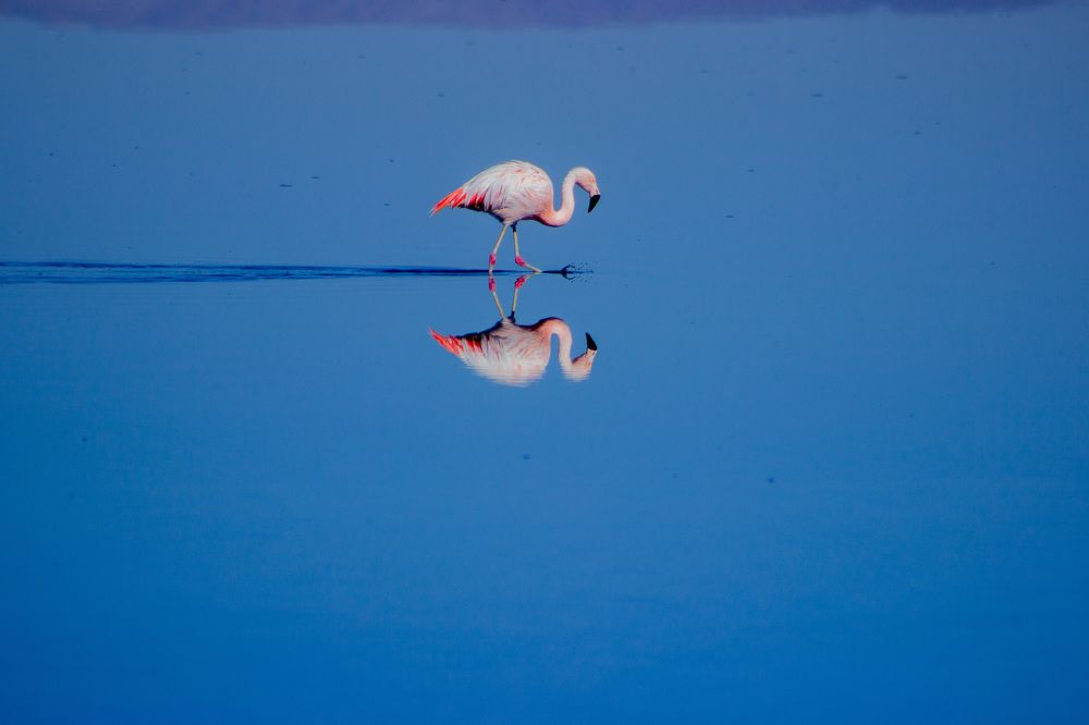 Photograph by Paulo miro
