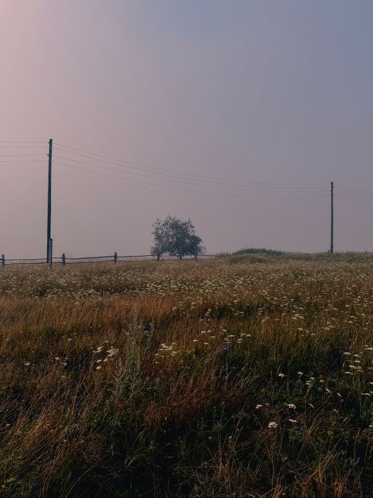 Фотография автора Юлия Осетрова