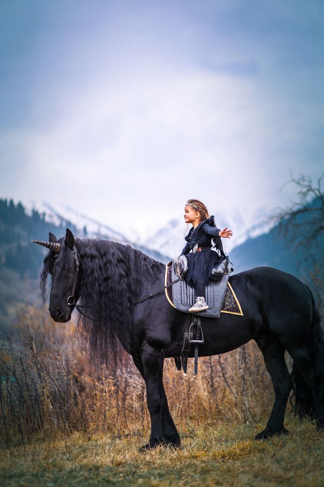 Фотография автора Анна Сусол