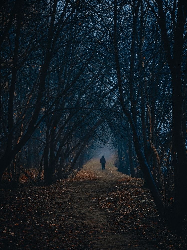 Photograph by Сергей Никифоров