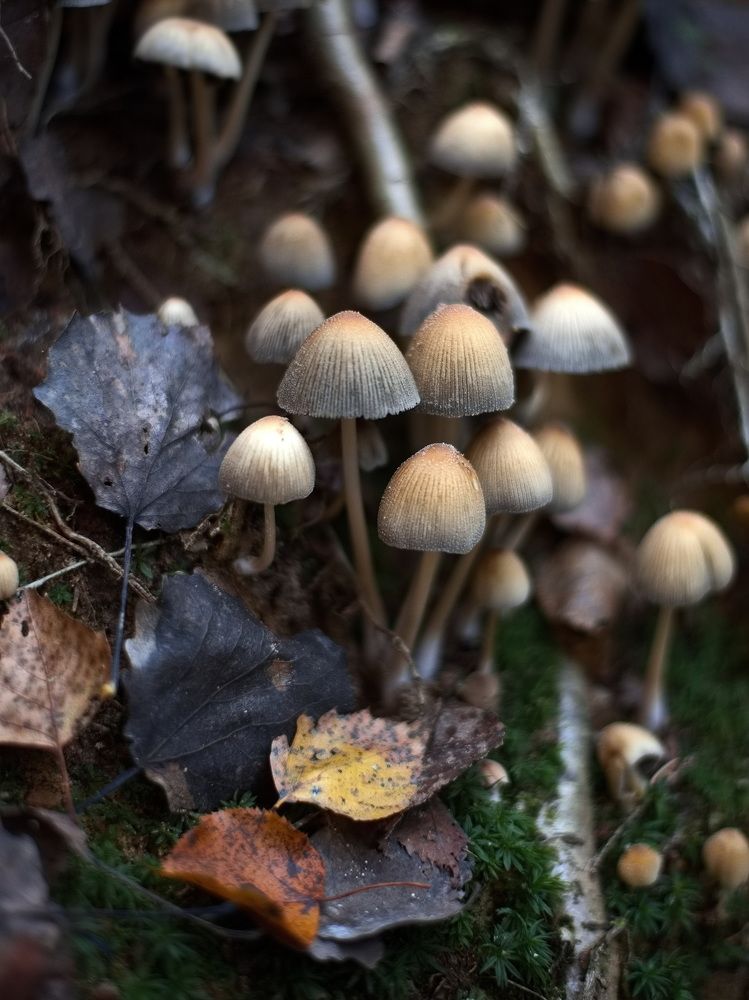 Фотография автора Юрий Кашлевский