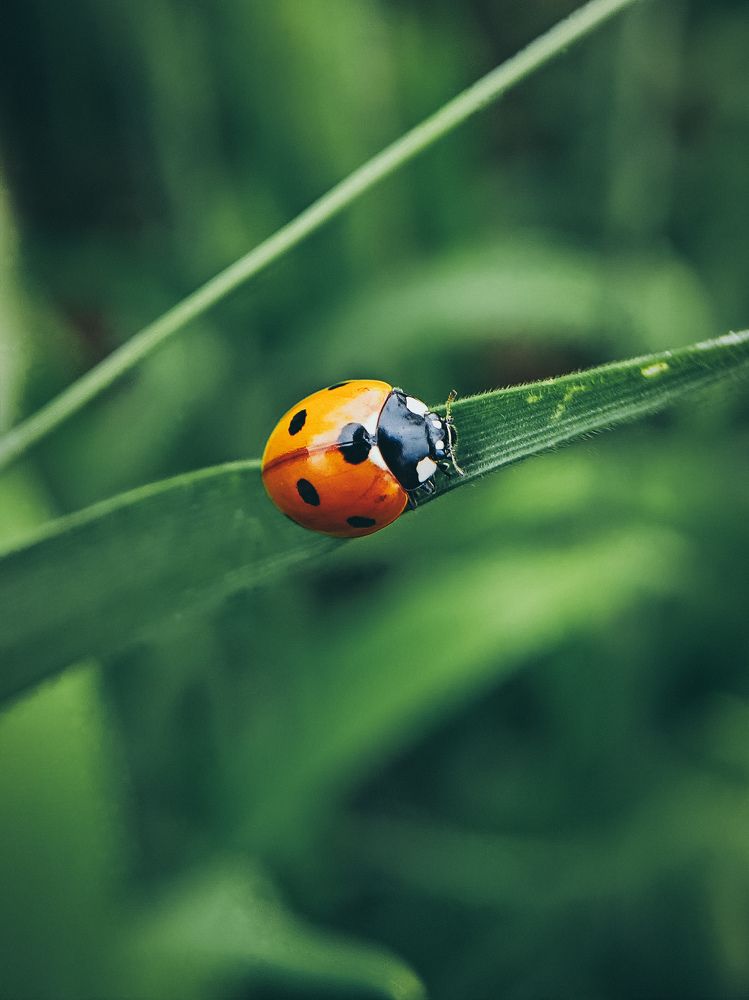 Photograph by Светлана Фоменко