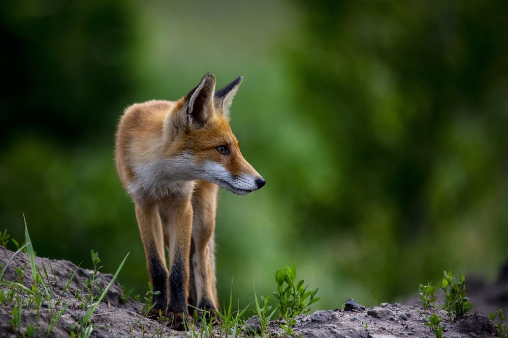 Photograph by Валерий Черняк