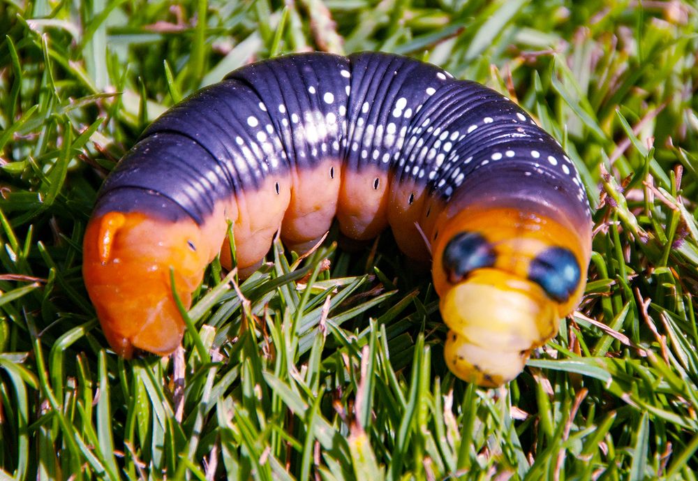 Photograph by Алексей Окунеев