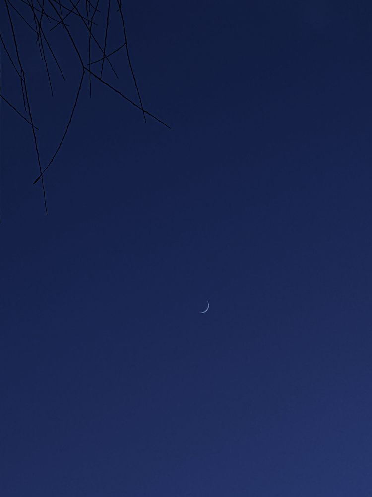 Фотография автора Юлия Осетрова