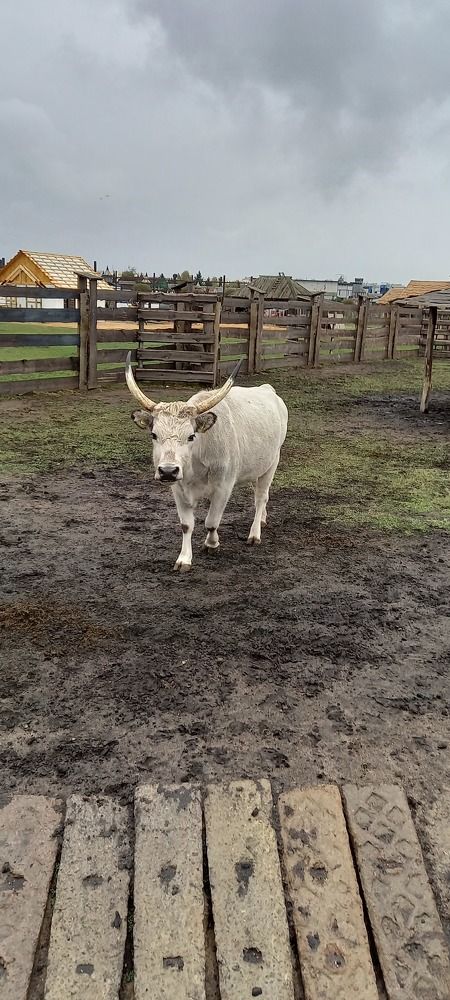 Фотография автора Марина Новикова