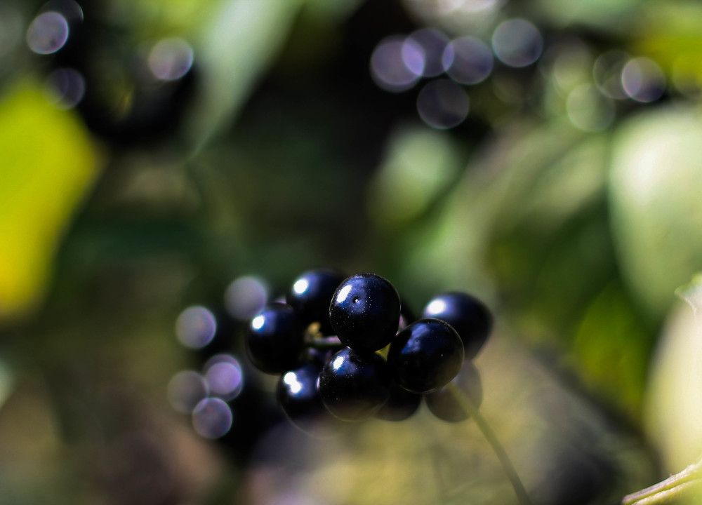 Photograph by Любовь Иванова