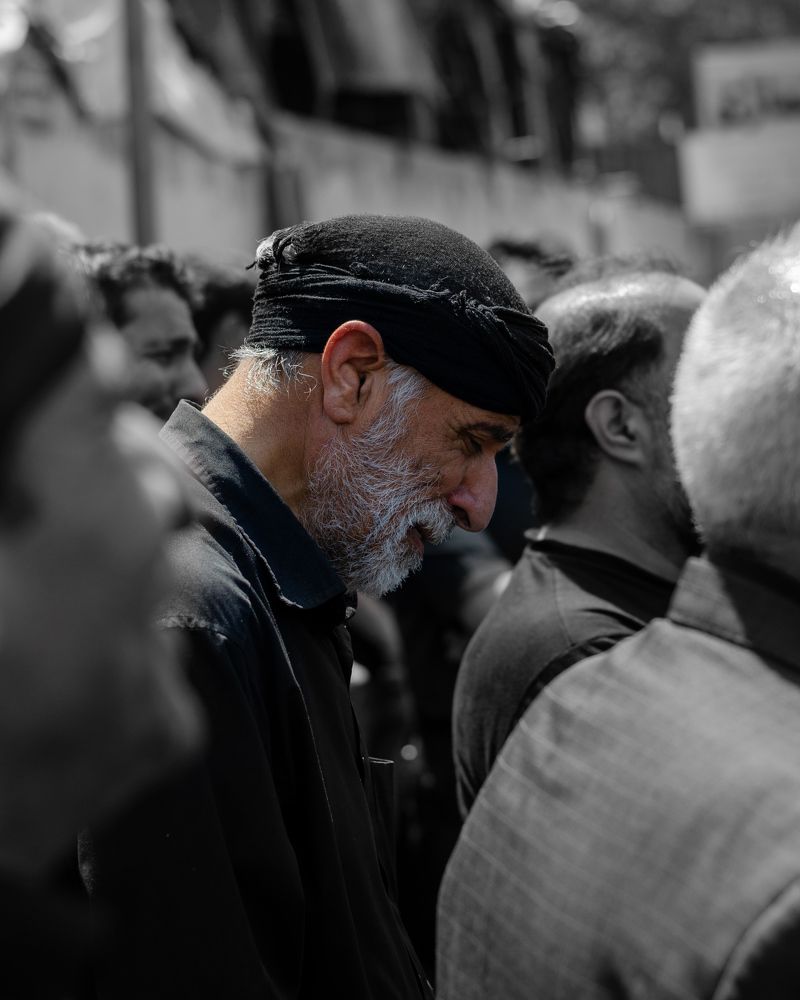 Фотография автора Mohammad Mohammadpour