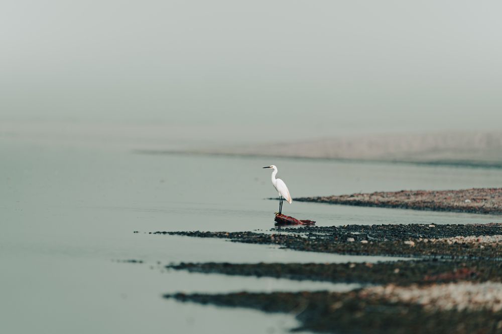 Photograph by Ashish Kalsarpe