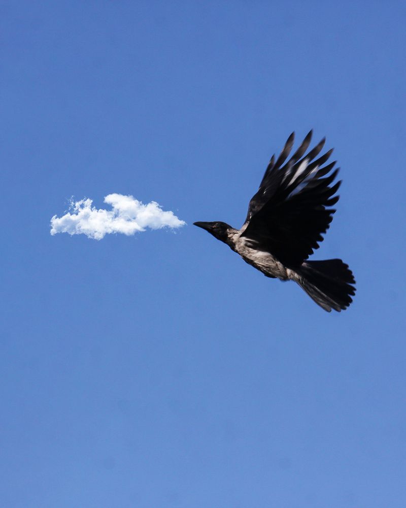 Фотография автора Mohammad Mohammadpour