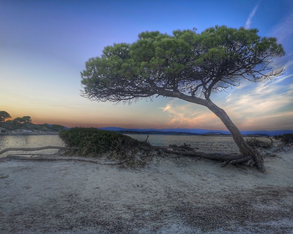 Photograph by Yulia Niki